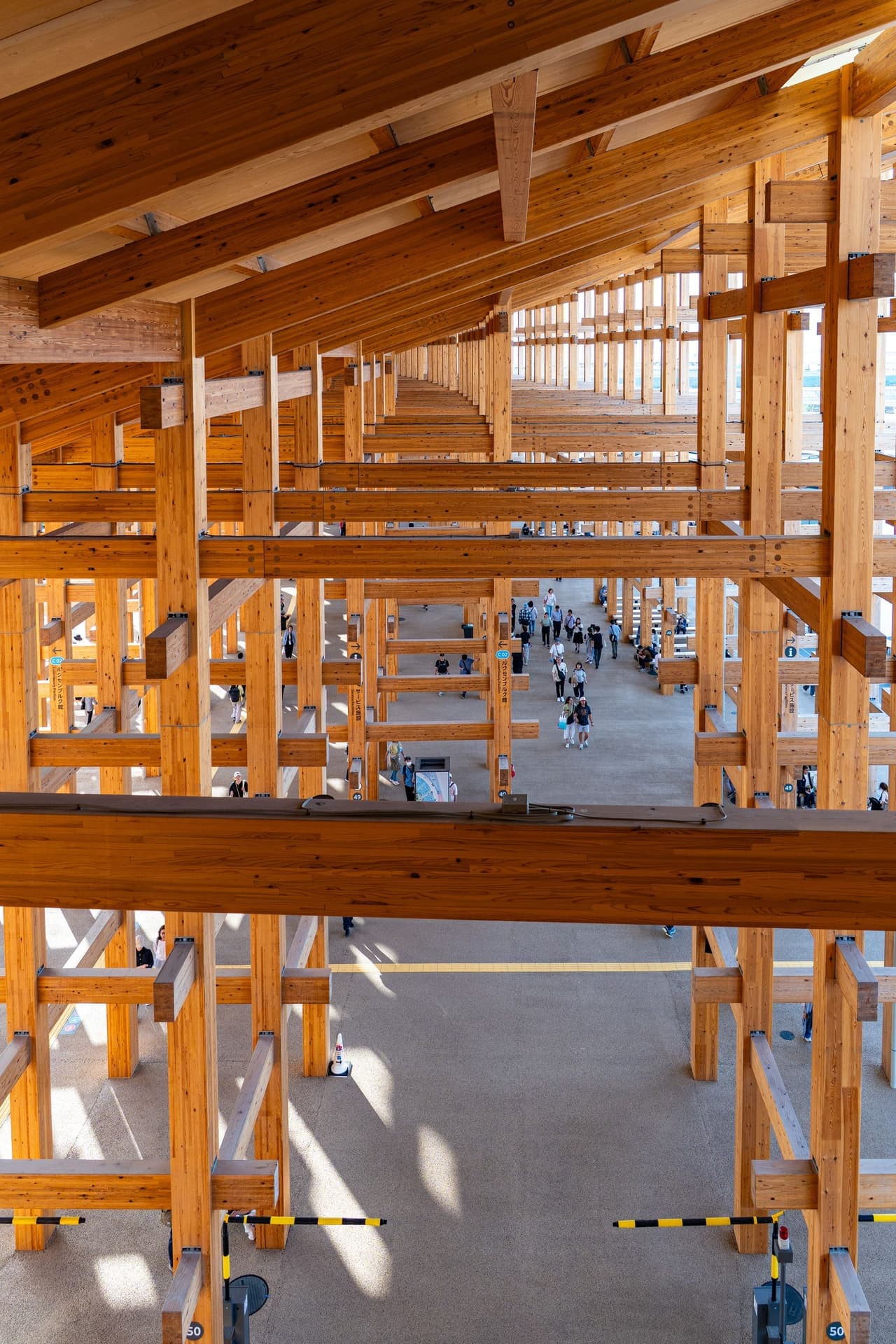 The timber frame of the pavilion from inside